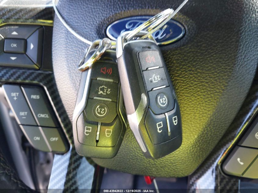 2017 Ford F-150 Raptor VIN: 1FTEX1RG8HFC82176 Lot: 43942822