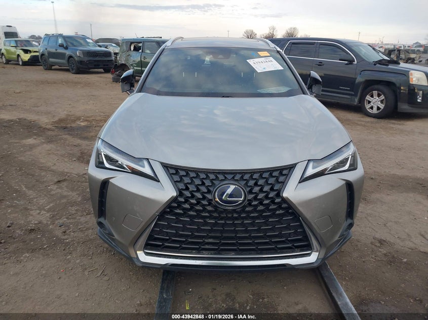 2020 Lexus Ux 250H VIN: JTHX9JBH7L2033971 Lot: 43942848