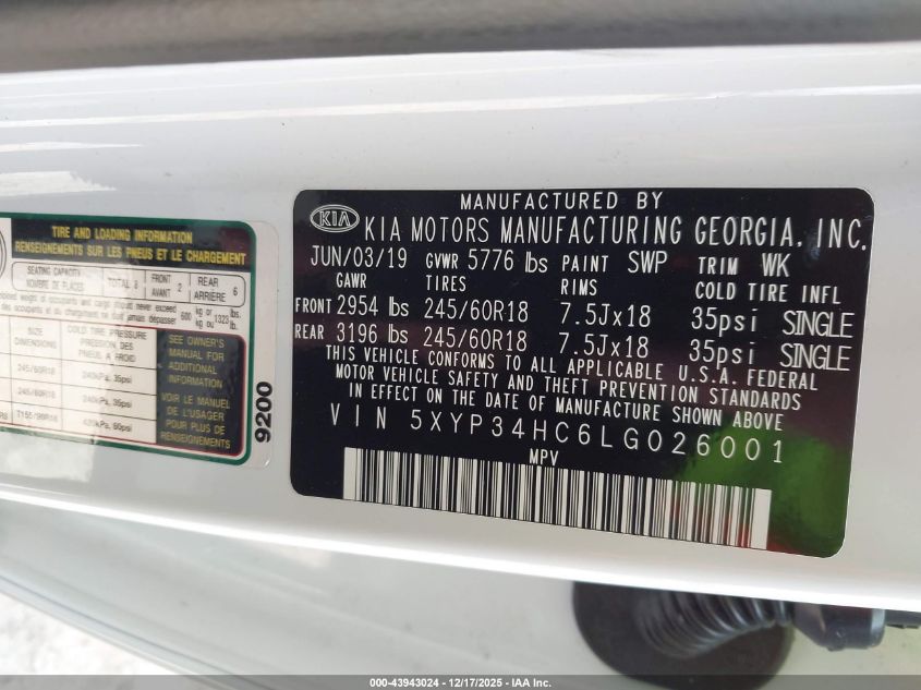 2020 Kia Telluride Ex VIN: 5XYP34HC6LG026001 Lot: 43943024