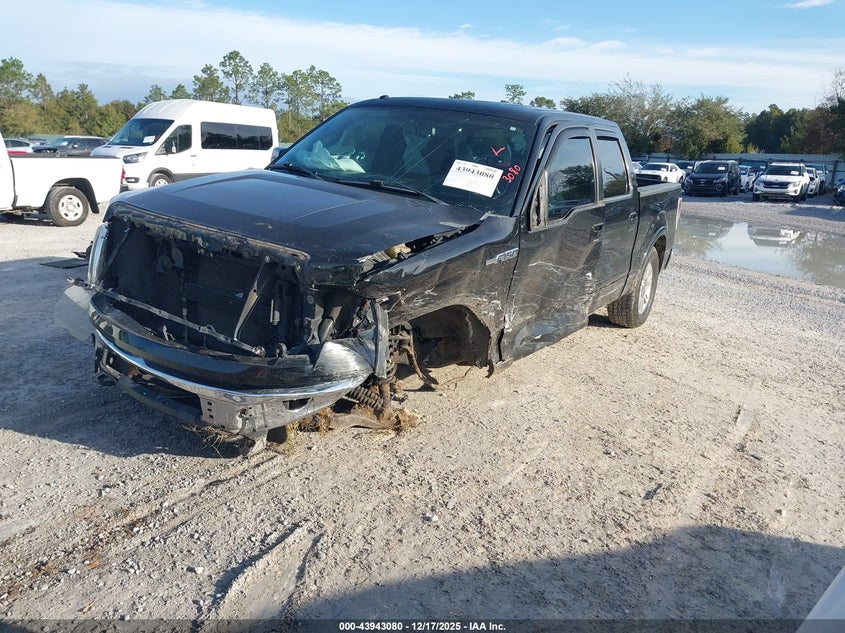 2010 Ford F-150 Fx4/Harley-Davidson/King Ranch/Lariat/Platinum/Xl/Xlt