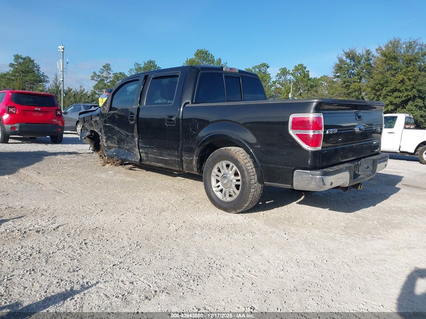 2010 Ford F-150 Fx4/Harley-Davidson/King Ranch/Lariat/Platinum/Xl/Xlt