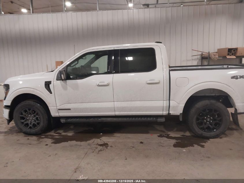 2024 Ford F-150 Xlt VIN: 1FTFW3LD9RFB04859 Lot: 43943208