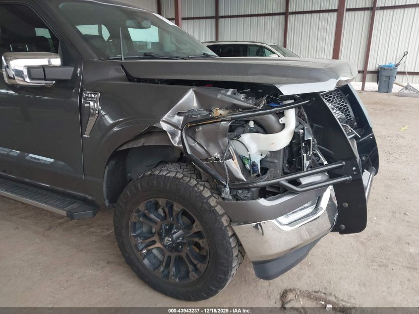 2021 Ford F-150 Lariat VIN: 1FTFW1E81MFA25036 Lot: 43943237