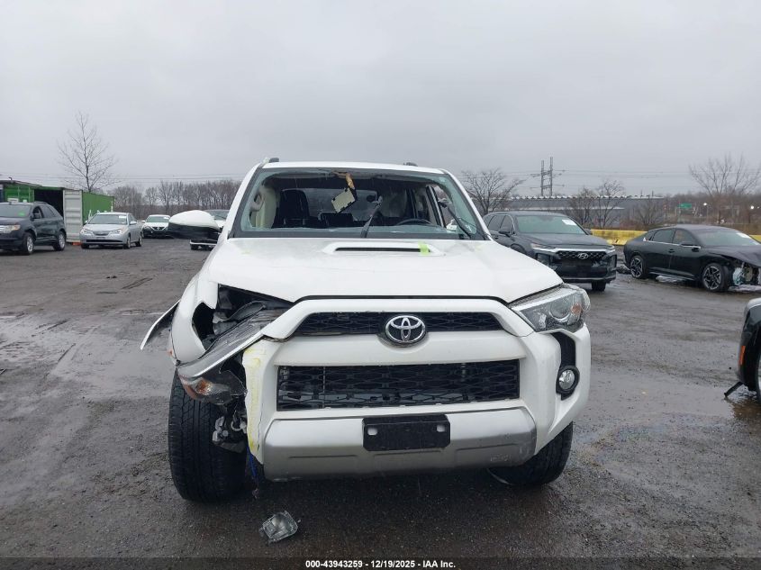 2019 Toyota 4Runner Trd Off Road VIN: JTEBU5JR0K5695508 Lot: 43943259