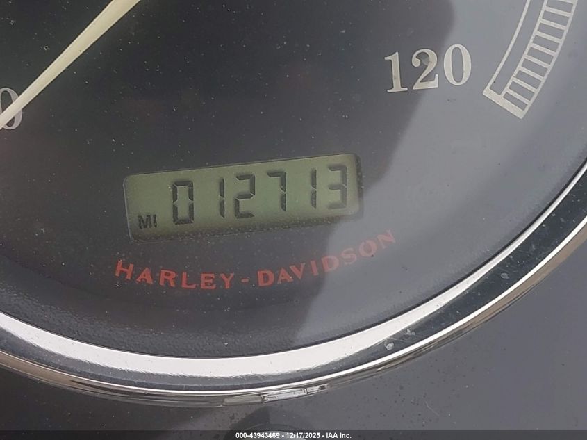 2010 Harley-Davidson Flstfb VIN: 1HD1JN519AB046110 Lot: 43943469