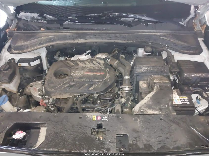 2019 Hyundai Santa Fe Limited 2.0T VIN: 5NMS5CAA4KH020192 Lot: 43943647