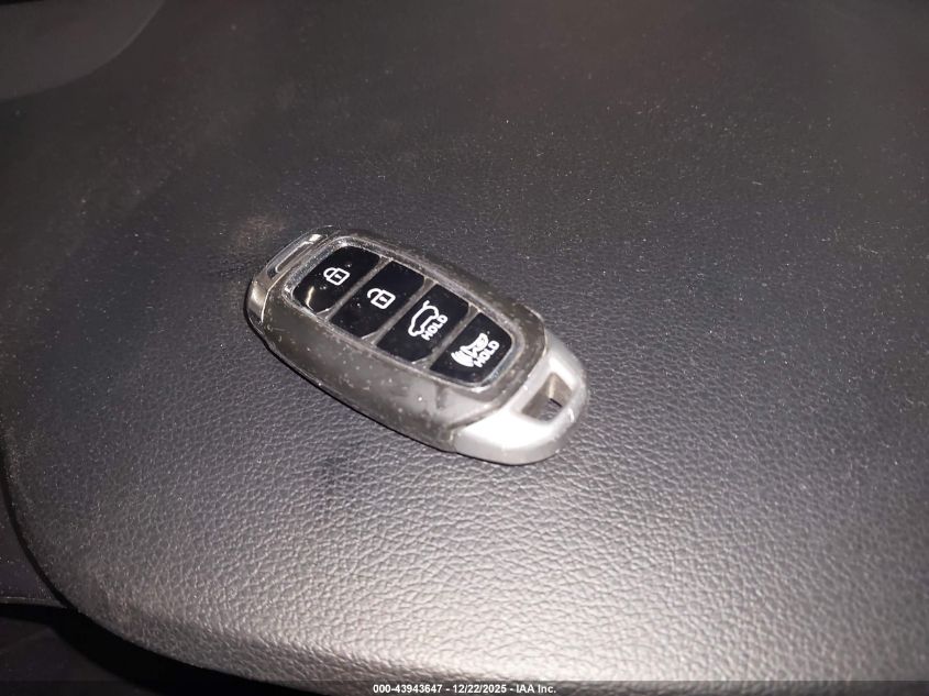 2019 Hyundai Santa Fe Limited 2.0T VIN: 5NMS5CAA4KH020192 Lot: 43943647