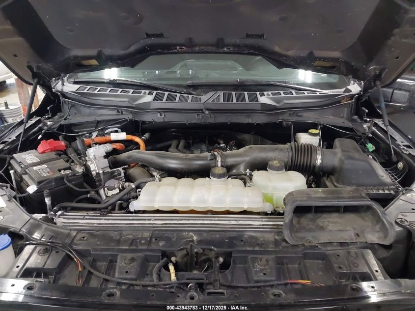 2024 Ford F-150 Xlt VIN: 1FTFW3LD3RFA50135 Lot: 43943783