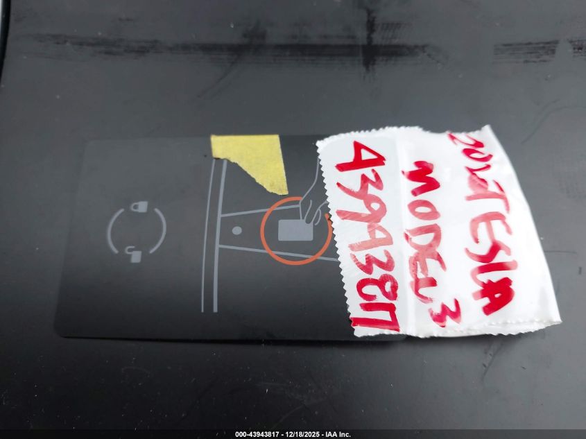 2020 Tesla Model 3 Standard Range Plus Rear-Wheel Drive/Standard Range Rear-Wheel Drive VIN: 5YJ3E1EAXLF634976 Lot: 43943817