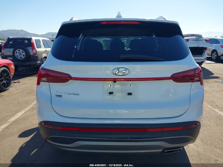 2023 Hyundai Santa Fe Sel VIN: 5NMS24AJ6PH562402 Lot: 43943851