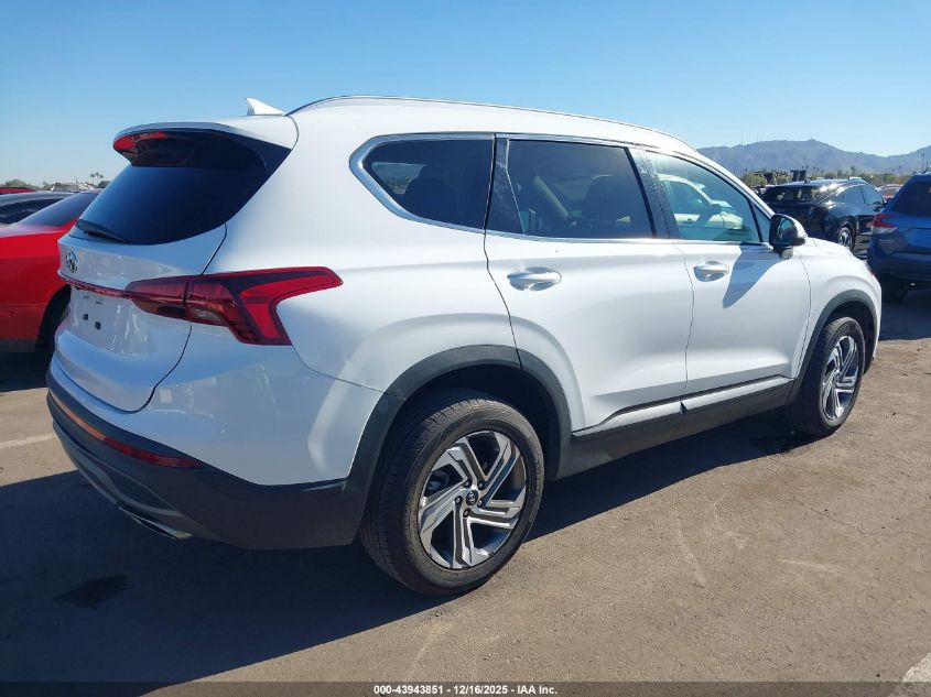 2023 Hyundai Santa Fe Sel VIN: 5NMS24AJ6PH562402 Lot: 43943851