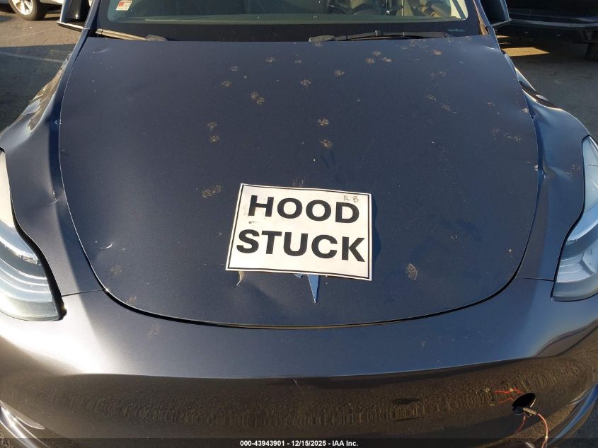 2023 Tesla Model Y Awd/Long Range Dual Motor All-Wheel Drive VIN: 7SAYGDEE6PA039892 Lot: 43943901