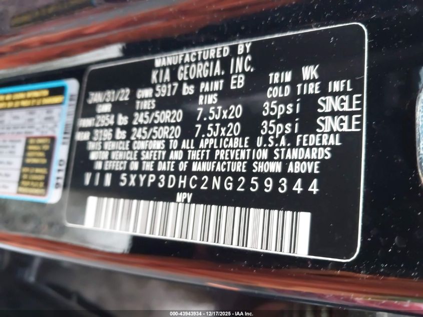 2022 Kia Telluride Ex VIN: 5XYP3DHC2NG259344 Lot: 43943934