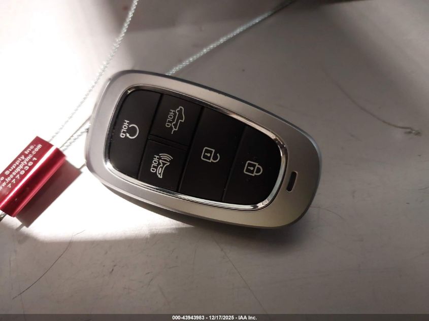 2024 Hyundai Santa Cruz Sel VIN: 5NTJBDDE5RH109826 Lot: 43943983