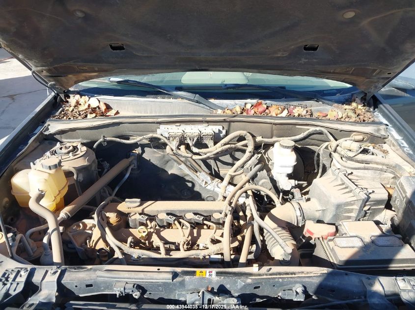 2009 Ford Escape Xlt VIN: 1FMCU03719KA14528 Lot: 43944035