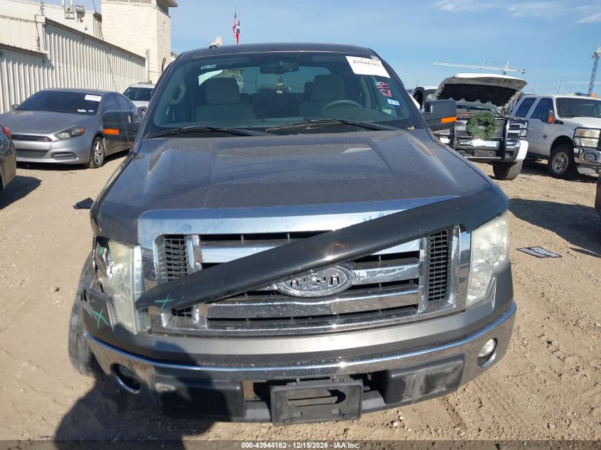 2009 Ford F-150 Xlt VIN: 1FTRW12859FA51910 Lot: 43944182