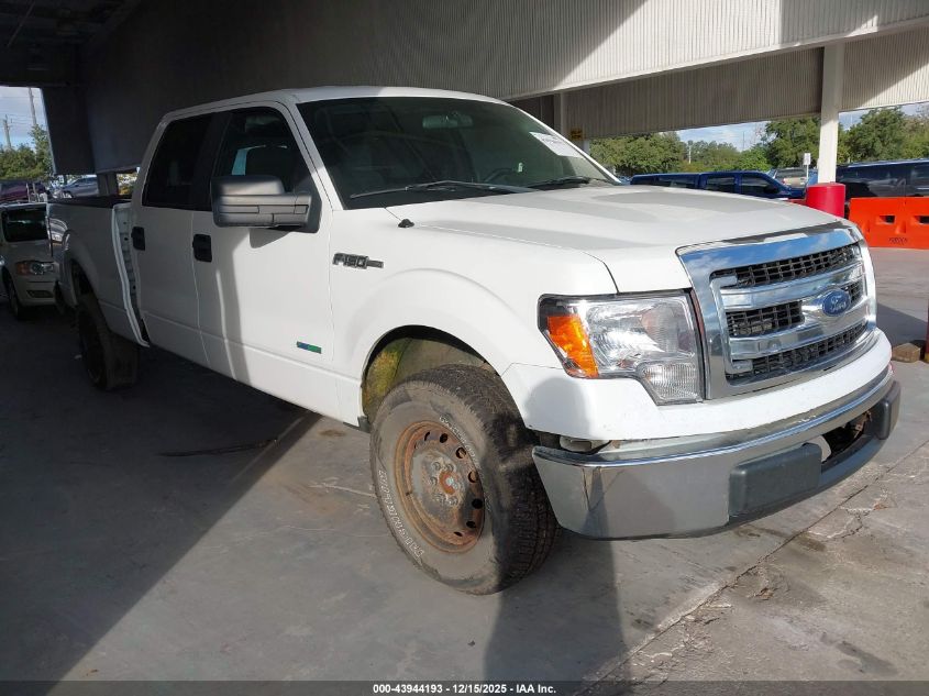 FORD F-150 XLT