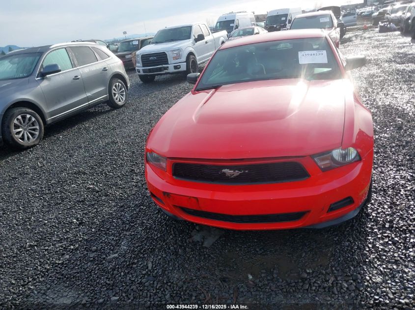 2011 Ford Mustang V6 VIN: 1ZVBP8AM1B5169127 Lot: 43944239