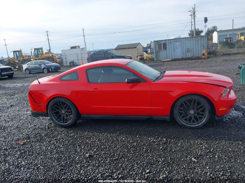 2011 Ford Mustang V6 VIN: 1ZVBP8AM1B5169127 Lot: 43944239