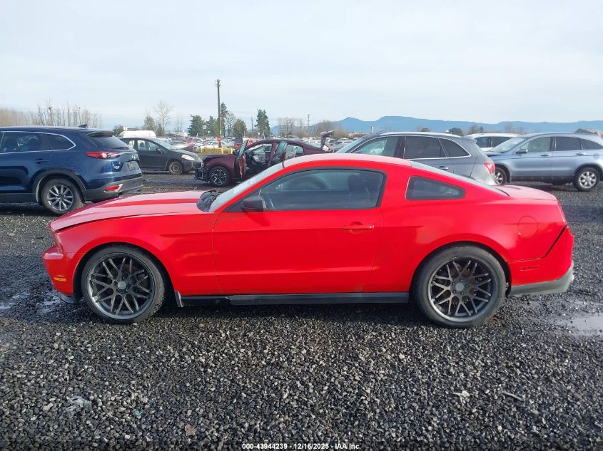 2011 Ford Mustang V6 VIN: 1ZVBP8AM1B5169127 Lot: 43944239