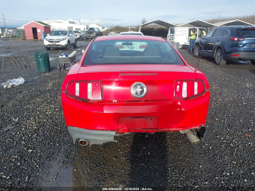2011 Ford Mustang V6 VIN: 1ZVBP8AM1B5169127 Lot: 43944239