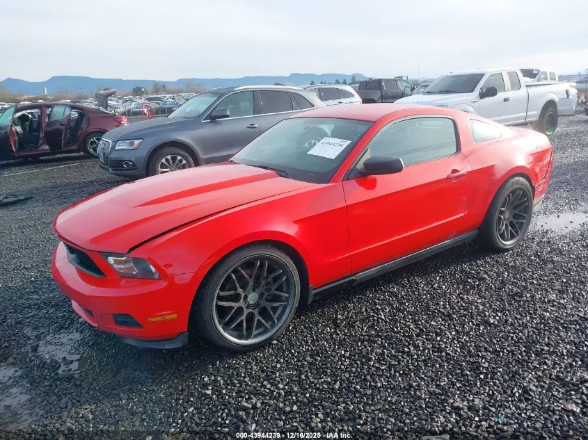 2011 Ford Mustang V6 VIN: 1ZVBP8AM1B5169127 Lot: 43944239