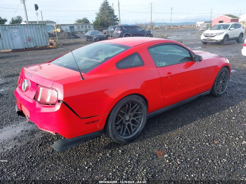2011 Ford Mustang V6 VIN: 1ZVBP8AM1B5169127 Lot: 43944239