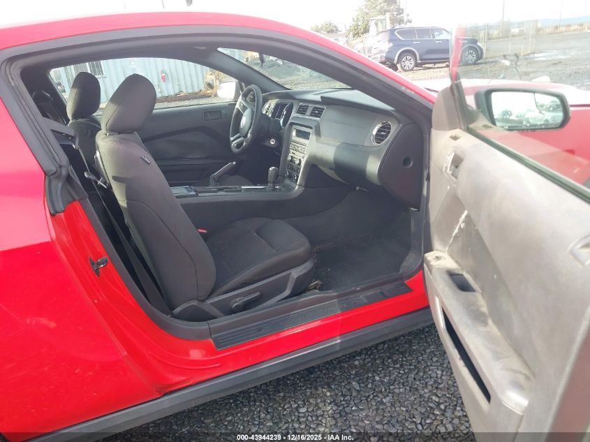 2011 Ford Mustang V6 VIN: 1ZVBP8AM1B5169127 Lot: 43944239