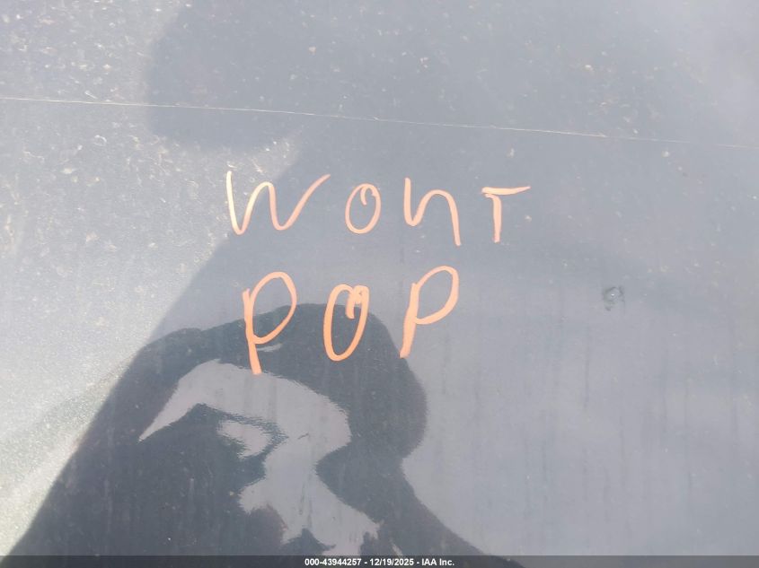 2007 GMC Yukon Denali VIN: 1GKFK63887J207785 Lot: 43944257