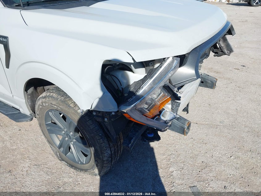 VIN 1FTEW1CP5PKD01445 2023 FORD F-150 XLT