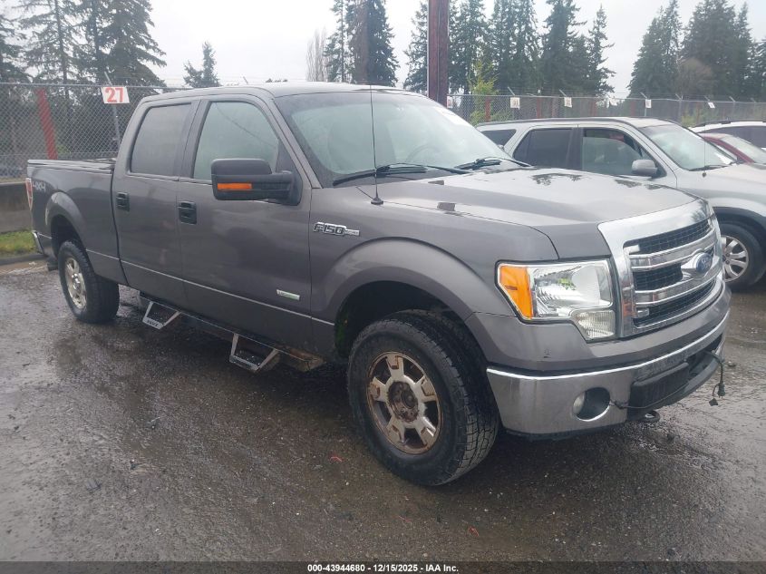 FORD F-150 XLT