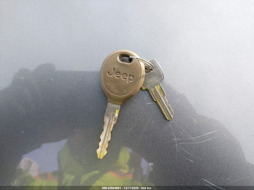 2005 Jeep Wrangler Unlimited VIN: 1J4FA44S15P317286 Lot: 43944681