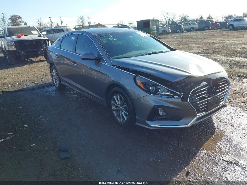 2019 Hyundai Sonata Se VIN: 5NPE24AF2KH764626 Lot: 43945036
