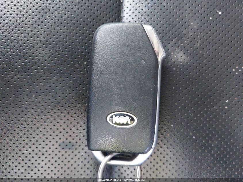 2020 Kia Telluride S VIN: 5XYP6DHC7LG012325 Lot: 43945108