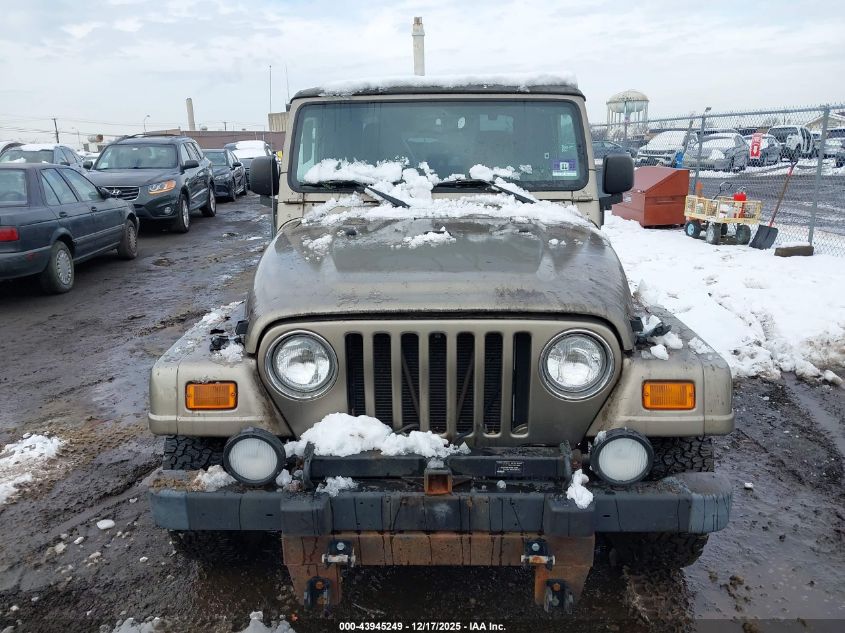 2003 Jeep Wrangler Sahara VIN: 1J4FA59S73P326036 Lot: 43945249