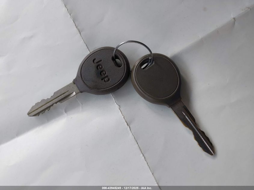 2003 Jeep Wrangler Sahara VIN: 1J4FA59S73P326036 Lot: 43945249