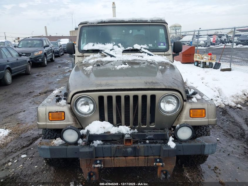2003 Jeep Wrangler Sahara VIN: 1J4FA59S73P326036 Lot: 43945249