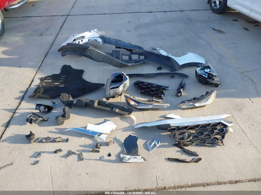 2019 Hyundai Santa Fe Sel VIN: 5NMS33AD8KH002956 Lot: 43945468