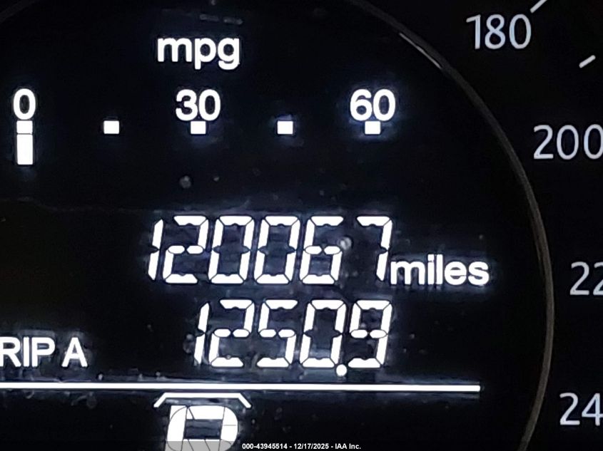 2014 Honda Accord Lx VIN: 1HGCR2F39EA251795 Lot: 43945514