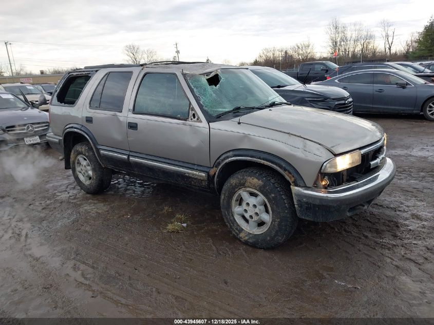 1999 Chevrolet Blazer Ls VIN: 1GNDT13W4X2196996 Lot: 43945607