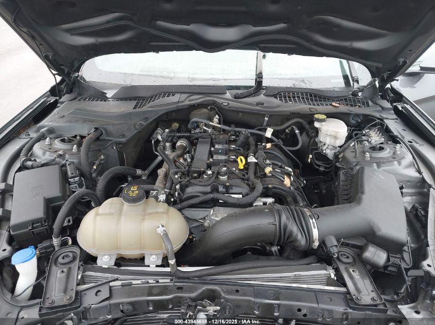 2023 Ford Mustang Ecoboost Premium Fastback VIN: 1FA6P8TH6P5109538 Lot: 43945656