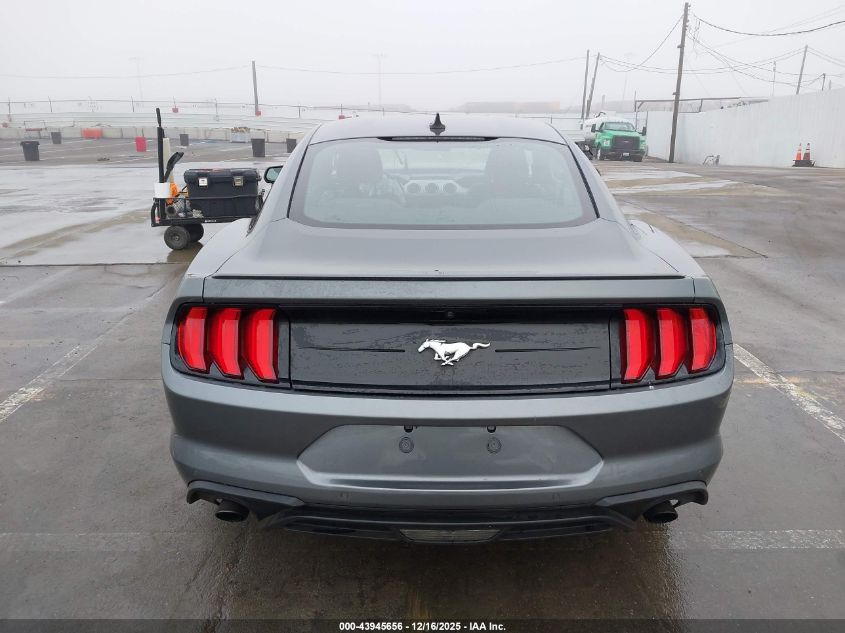 2023 Ford Mustang Ecoboost Premium Fastback VIN: 1FA6P8TH6P5109538 Lot: 43945656
