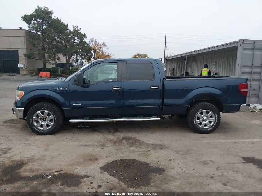 2013 Ford F-150 Xlt VIN: 1FTFW1ET5DKE66549 Lot: 43945719