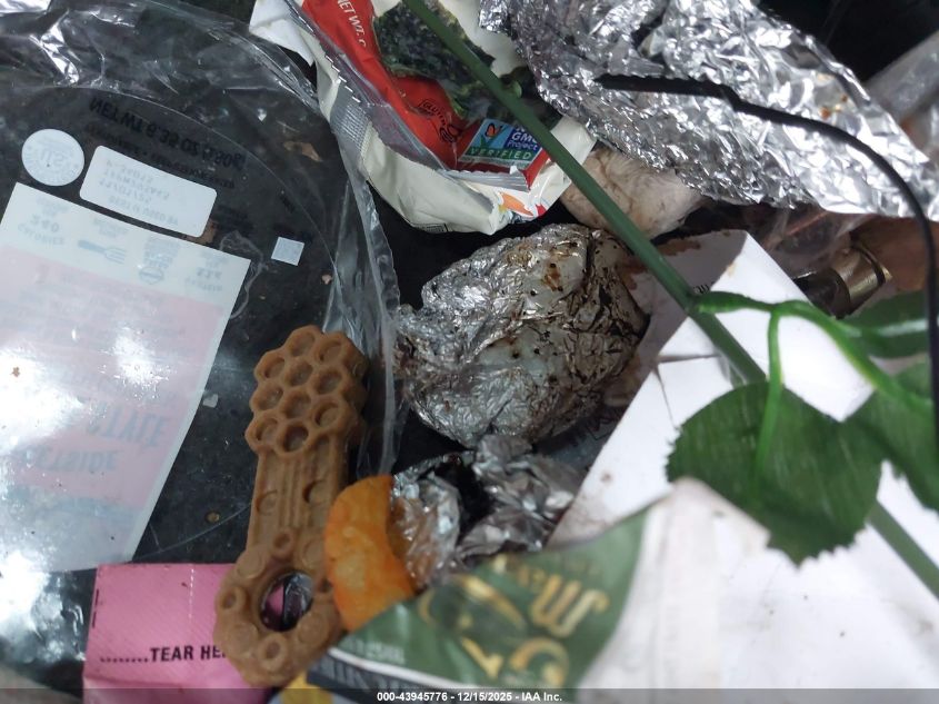 2007 Nissan Xterra X VIN: 5N1AN08U17C508205 Lot: 43945776