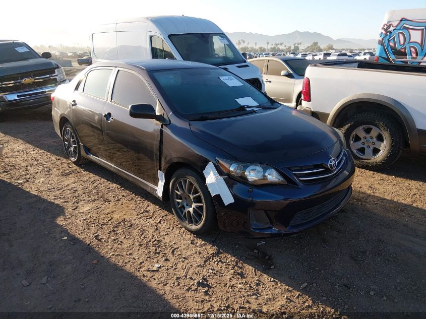 TOYOTA COROLLA LE/LE SPECIAL EDITION