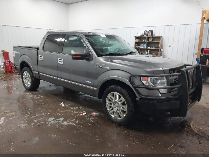 1FTFW1ET1DFD23848 2013 Ford F-150 Platinum auction photo 1