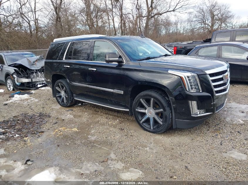 2017 Cadillac Escalade Luxury VIN: 1GYS4BKJ0HR199034 Lot: 43945996