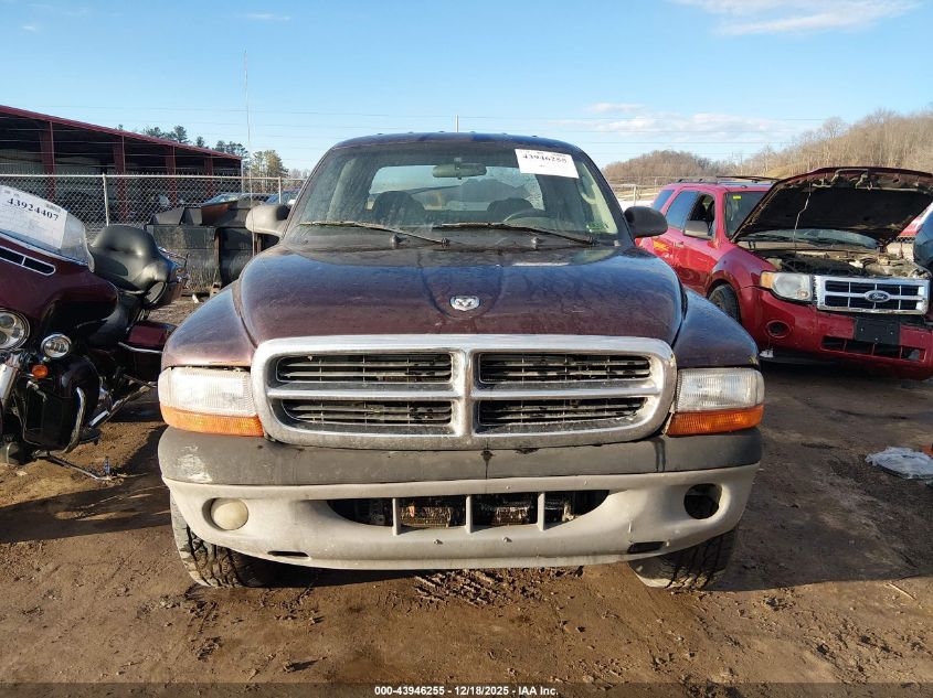 2004 Dodge Dakota Slt VIN: 1D7HG48N84S718224 Lot: 43946255
