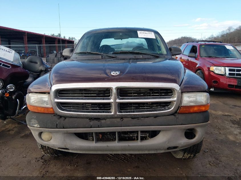 2004 Dodge Dakota Slt VIN: 1D7HG48N84S718224 Lot: 43946255