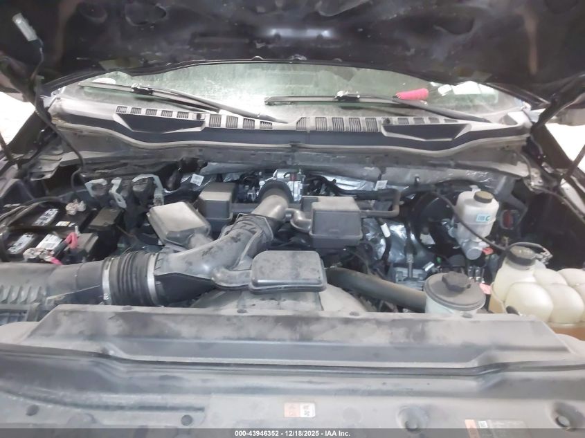 2020 Ford F-250 Xl VIN: 1FT7X2B67LEC99243 Lot: 43946352